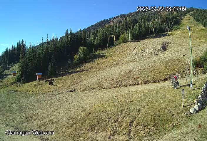Webcam Apex Mountain: Okanagan Run