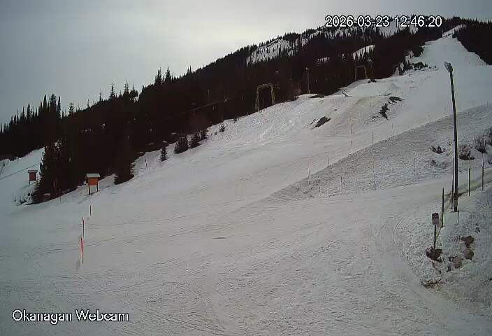 Webcam Apex Mountain: Okanagan Run