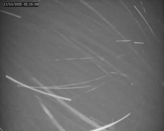 Webcam Apex Mountain: Old Mill Shack