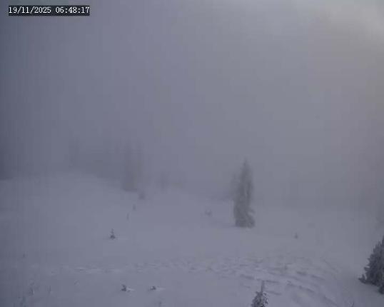 Webcam Apex Mountain: Old Mill Shack