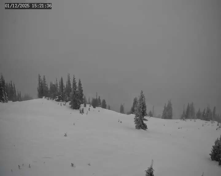 Webcam Apex Mountain: Old Mill Shack