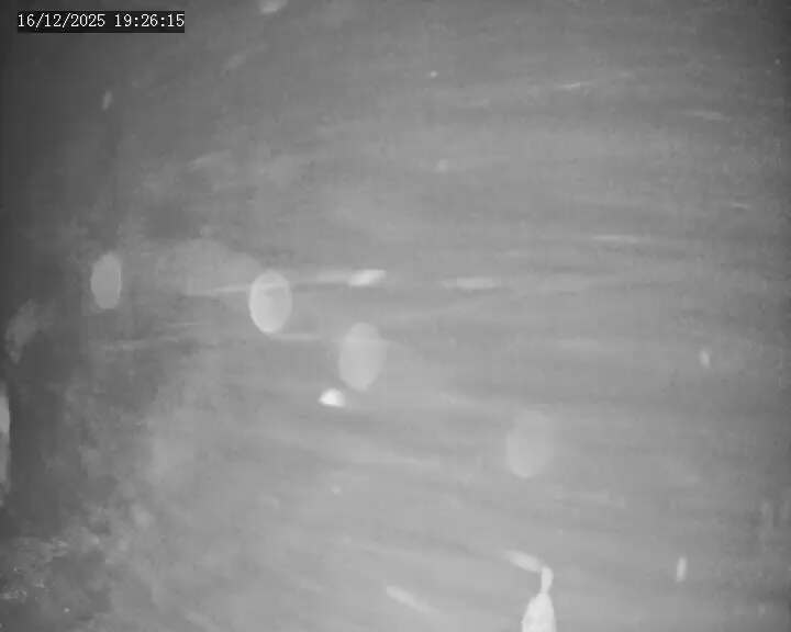 Webcam Apex Mountain: Old Mill Shack