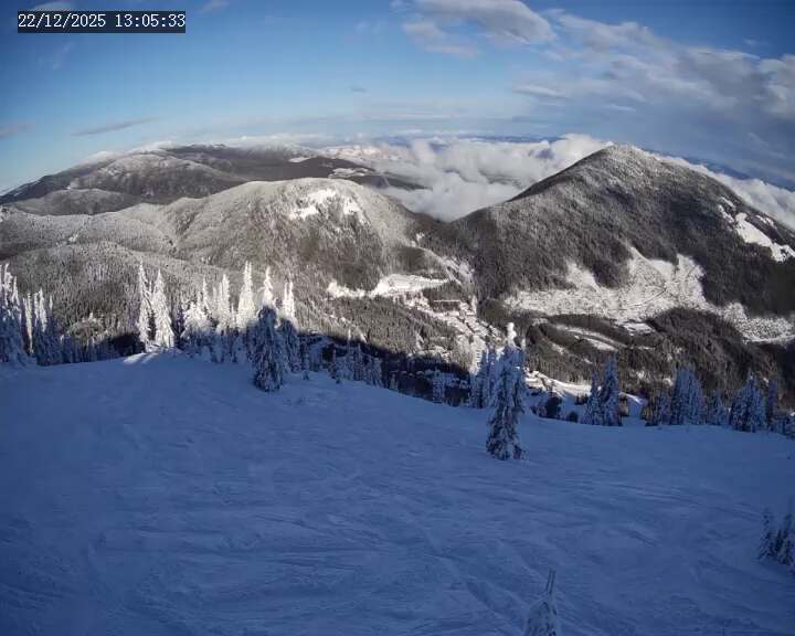 Webcam Apex Mountain: Old Mill Shack