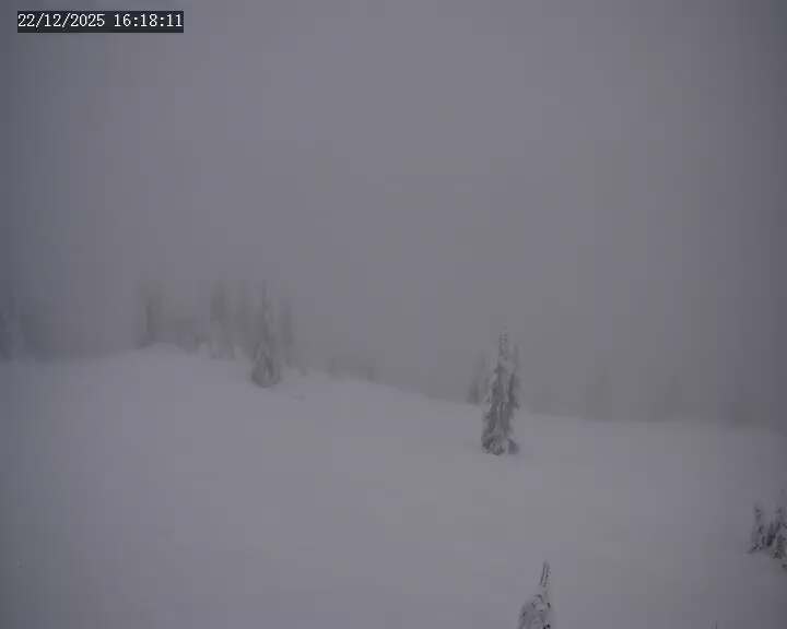 Webcam Apex Mountain: Old Mill Shack