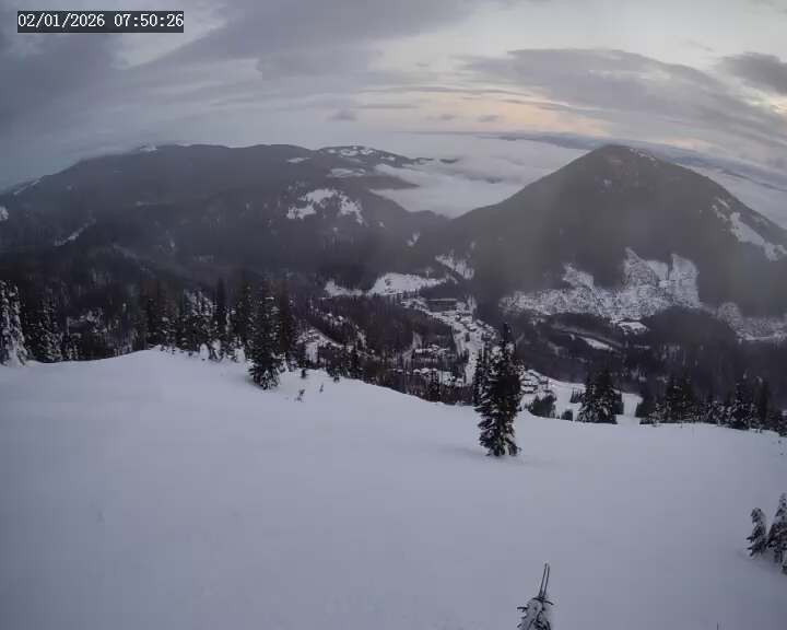 Webcam Apex Mountain: Old Mill Shack