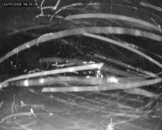 Webcam Apex Mountain: Old Mill Shack