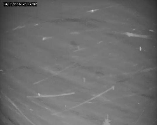 Webcam Apex Mountain: Old Mill Shack