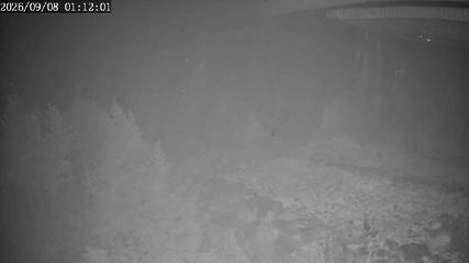 Apex Mountain webcam