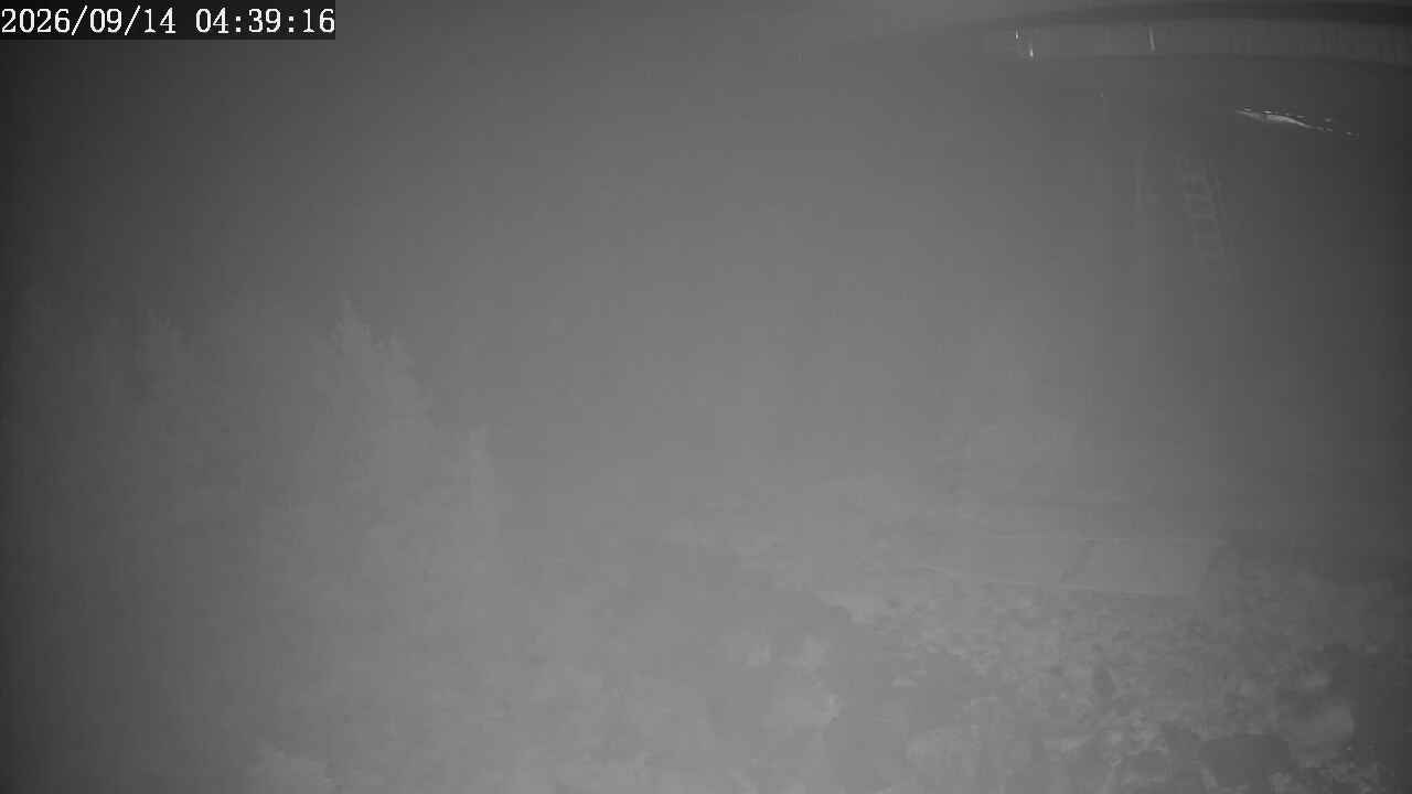 Webcam Apex Mountain: Top of the Quad