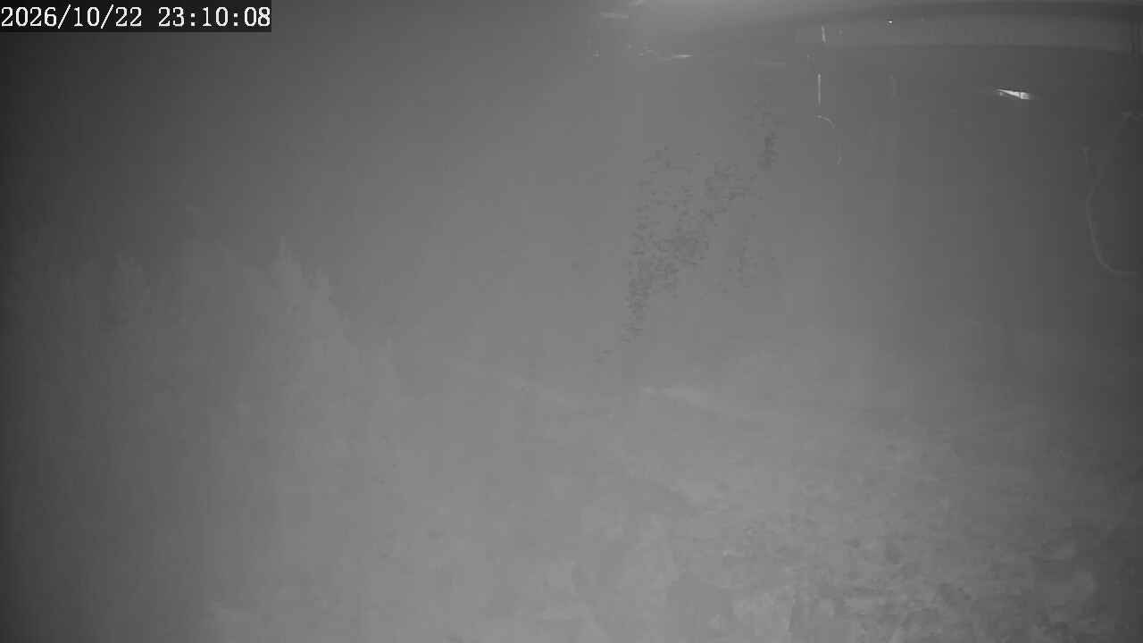 Webcam Apex Mountain: Top of the Quad