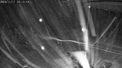 Apex Mountain: Top of the Quad (apexresort.com)