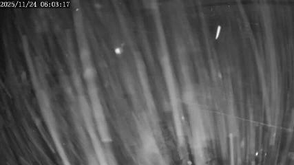 Apex Mountain: Top of the Quad (apexresort.com)