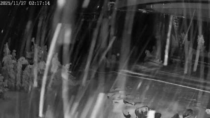 Apex Mountain: Top of the Quad (apexresort.com)