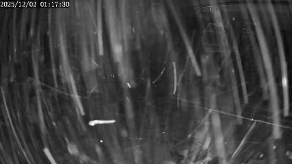 Apex Mountain: Top of the Quad (apexresort.com)