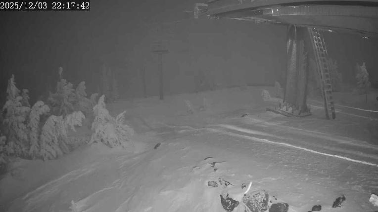 Webcam Apex Mountain: Top of the Quad