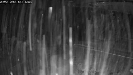 Apex Mountain: Top of the Quad (apexresort.com)