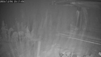 Apex Mountain: Top of the Quad (apexresort.com)