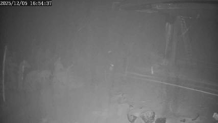 Apex Mountain: Top of the Quad (apexresort.com)