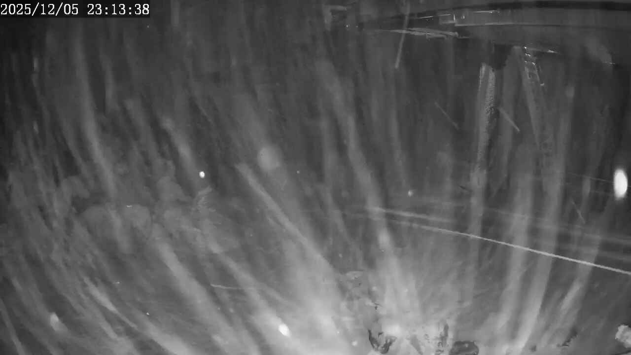 Webcam Apex Mountain: Top of the Quad