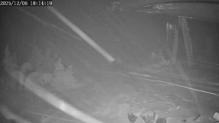 Apex Mountain: Top of the Quad (apexresort.com)