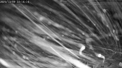 Apex Mountain: Top of the Quad (apexresort.com)