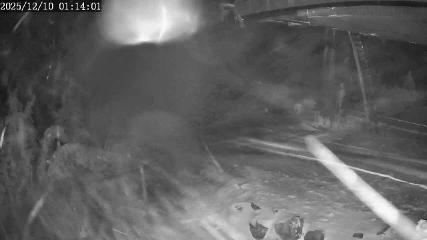 Apex Mountain: Top of the Quad (apexresort.com)