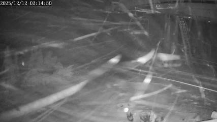 Apex Mountain: Top of the Quad (apexresort.com)