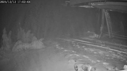 Apex Mountain: Top of the Quad (apexresort.com)