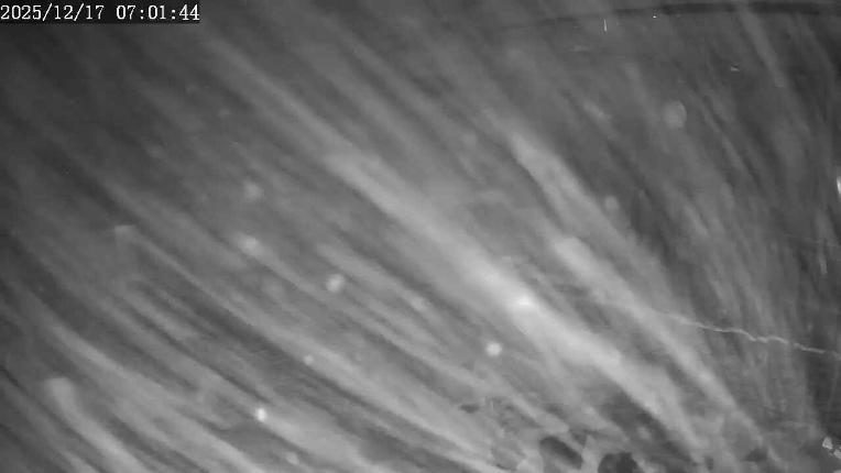 Webcam Apex Mountain: Top of the Quad