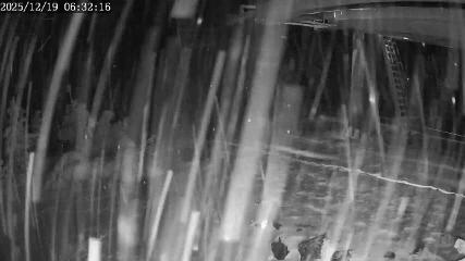 Apex Mountain: Top of the Quad (apexresort.com)