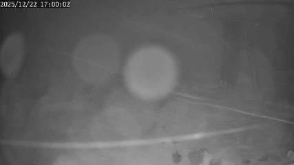 Apex Mountain: Top of the Quad (apexresort.com)