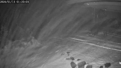 Apex Mountain: Top of the Quad (apexresort.com)