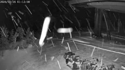 Apex Mountain: Top of the Quad (apexresort.com)