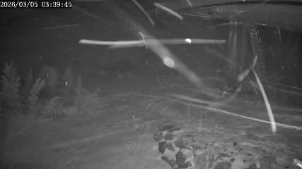 Apex Mountain: Top of the Quad (apexresort.com)