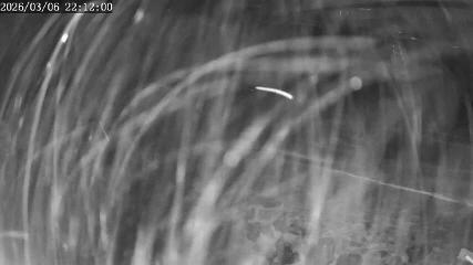 Apex Mountain: Top of the Quad (apexresort.com)