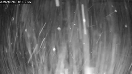 Apex Mountain: Top of the Quad (apexresort.com)