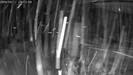 Apex Mountain: Top of the Quad (apexresort.com)