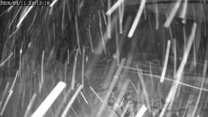 Apex Mountain: Top of the Quad (apexresort.com)