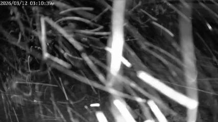 Apex Mountain: Top of the Quad (apexresort.com)