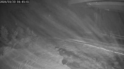 Apex Mountain: Top of the Quad (apexresort.com)