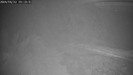 Apex Mountain: Top of the Quad (apexresort.com)