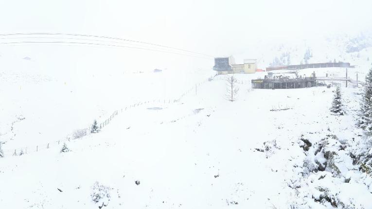 Webcam Arosa Lenzerheide: Arosa Bärenland