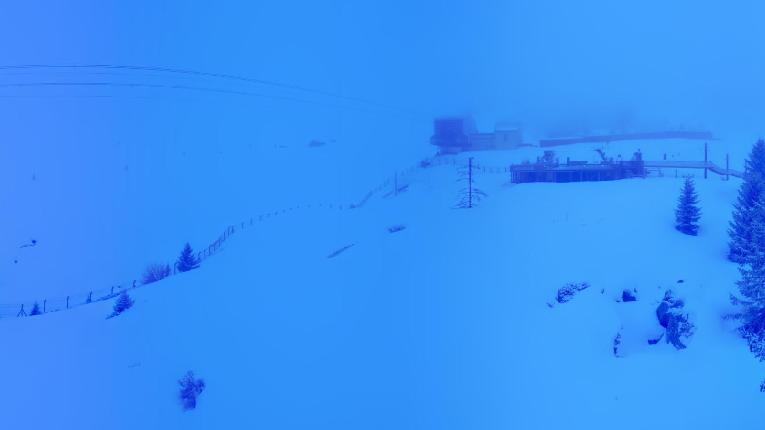 Webcam Arosa Lenzerheide: Arosa Bärenland