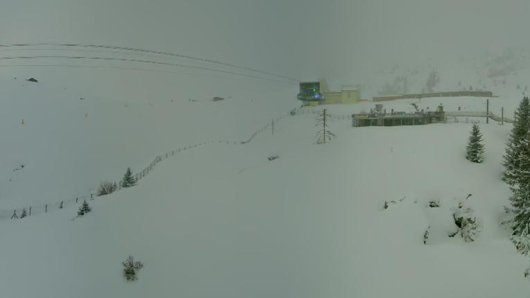 Webcam Arosa Lenzerheide: Arosa Bärenland
