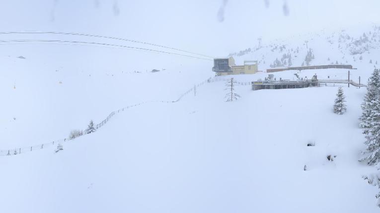 Webcam Arosa Lenzerheide: Arosa Bärenland