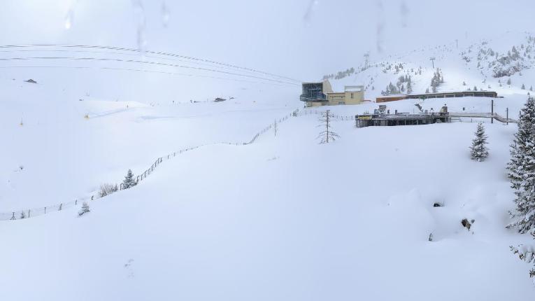 Webcam Arosa Lenzerheide: Arosa Bärenland