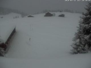 Arosa Lenzerheide: Golfhaus Arosa (arosalenzerheide.swiss)