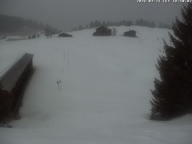 Webcam Arosa Lenzerheide: Golfhaus Arosa