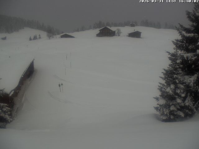 Webcam Arosa Lenzerheide: Golfhaus Arosa