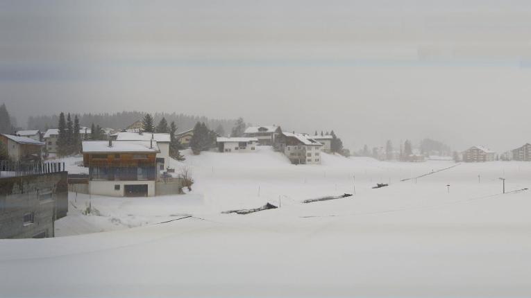 Webcam Arosa Lenzerheide: Heimber Parpan